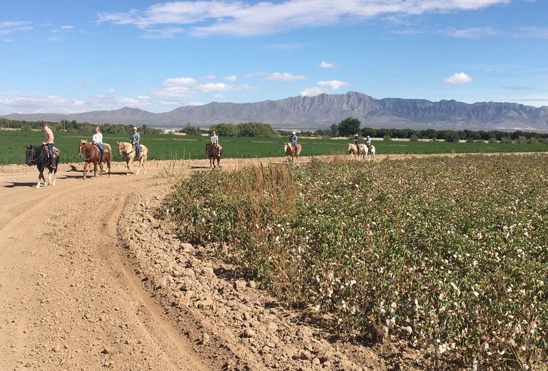 Miller Horseback Riding and Tours
