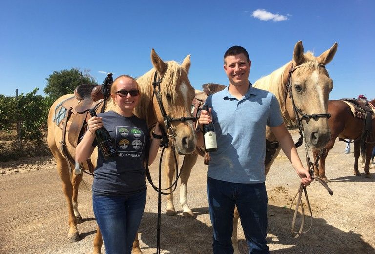Miller Horse Farm Tours