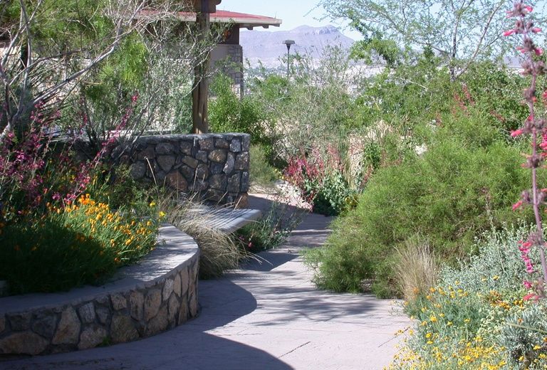 Centennial Museum and Chihuahuan Desert Gardens