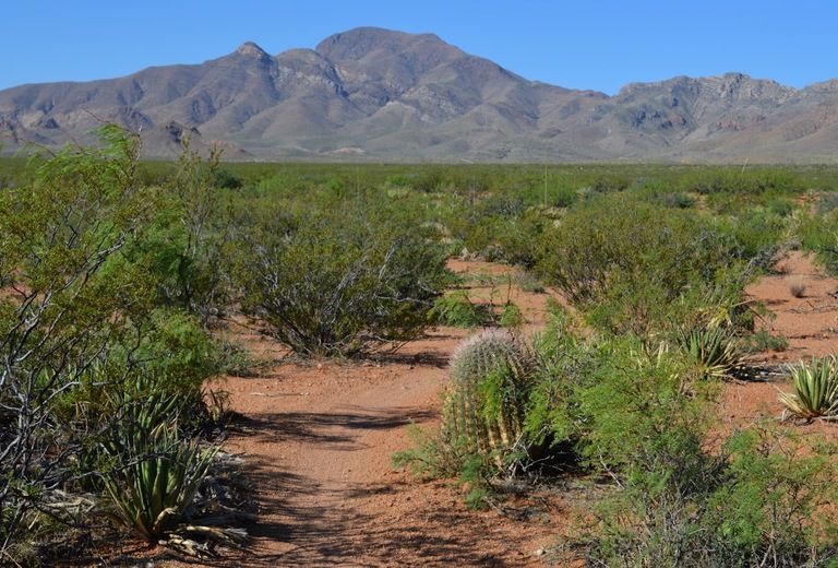 Billy Rogers Arroyo Park & Nature Preserve