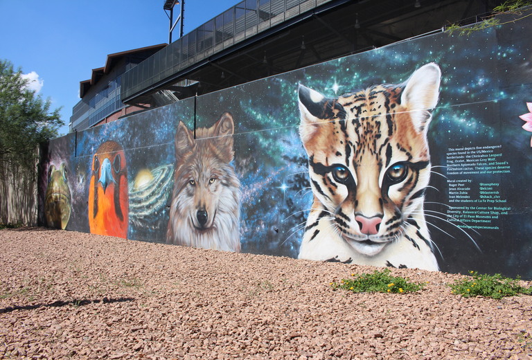 Borderlands Wildlife Mural
