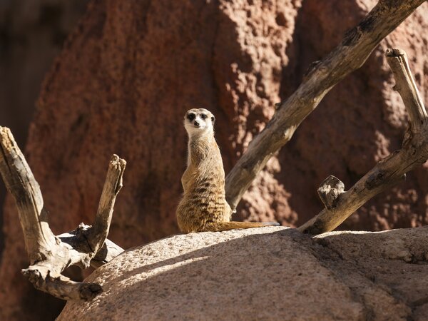 El Paso Zoo