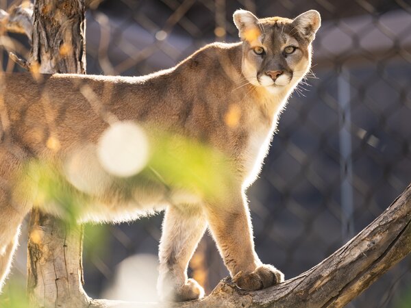 El Paso Zoo