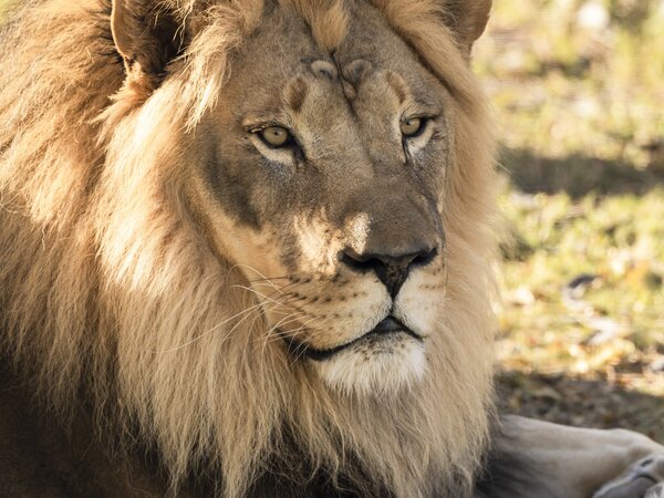 El Paso Zoo