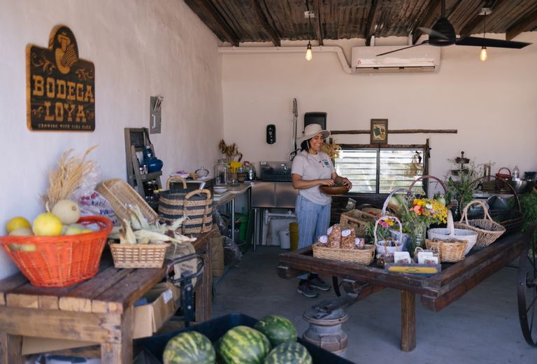 Bodega Loya