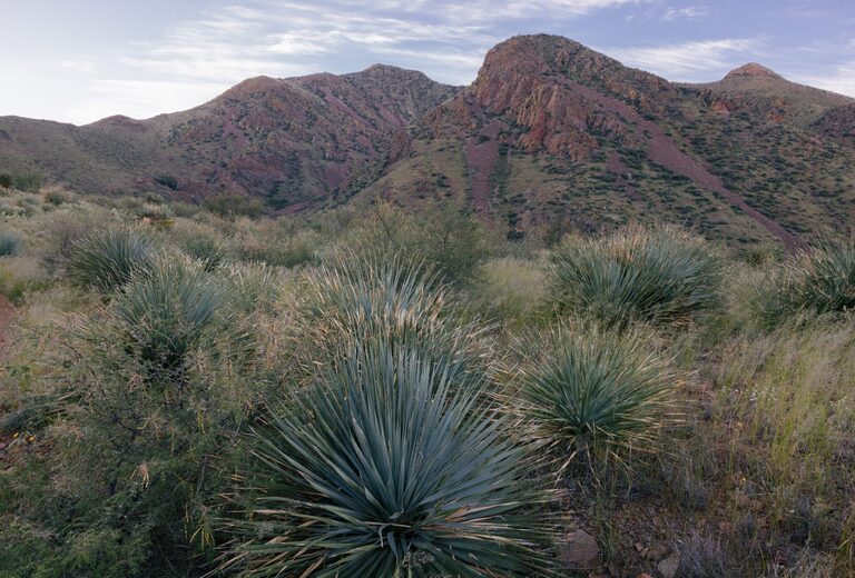 Resler Canyon Trail