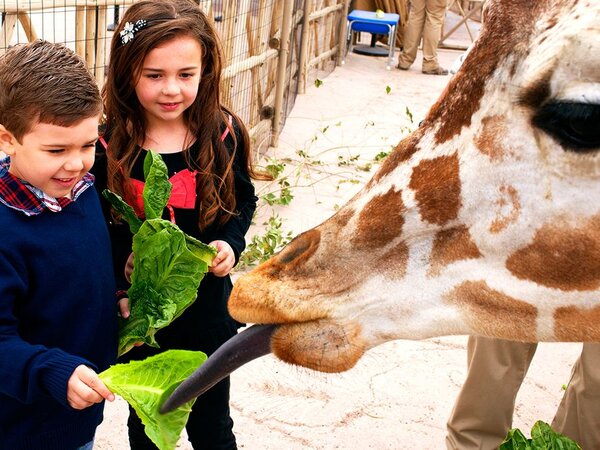 El Paso Zoo
