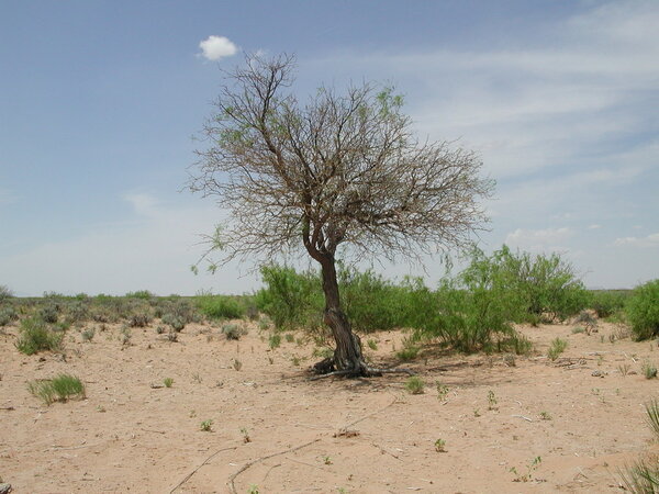 Desert Landscapes/Roads/Highways