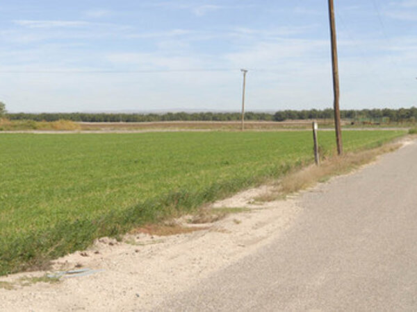 Cotton Farms