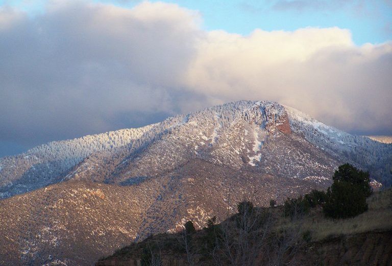 Gila National Forest