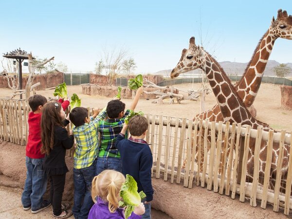 7 Top Family-Friendly Things to Do in El Paso