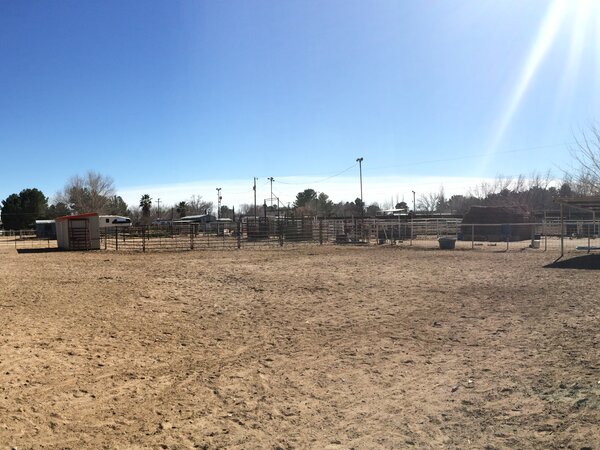 Arenas