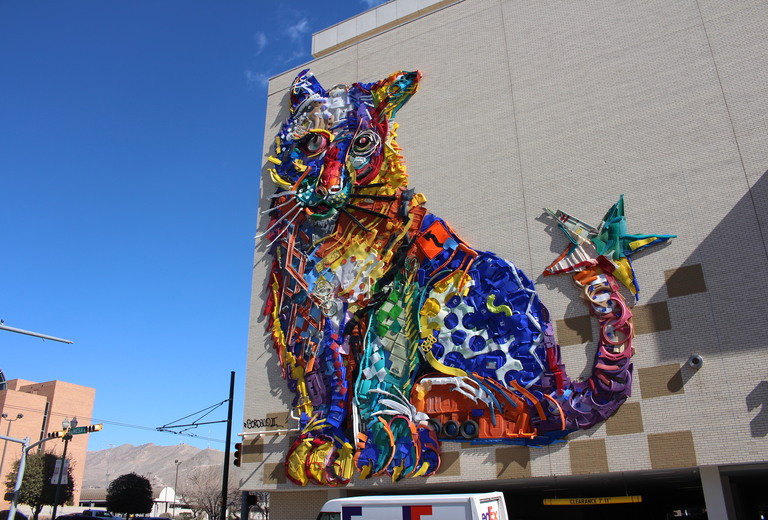 Franklin the Mountain Lion