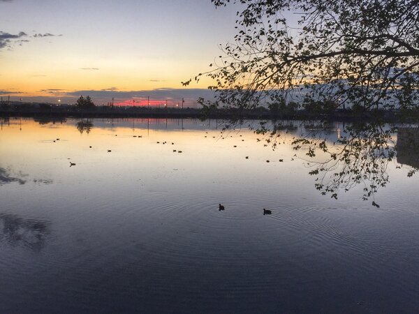 Bodies of Water