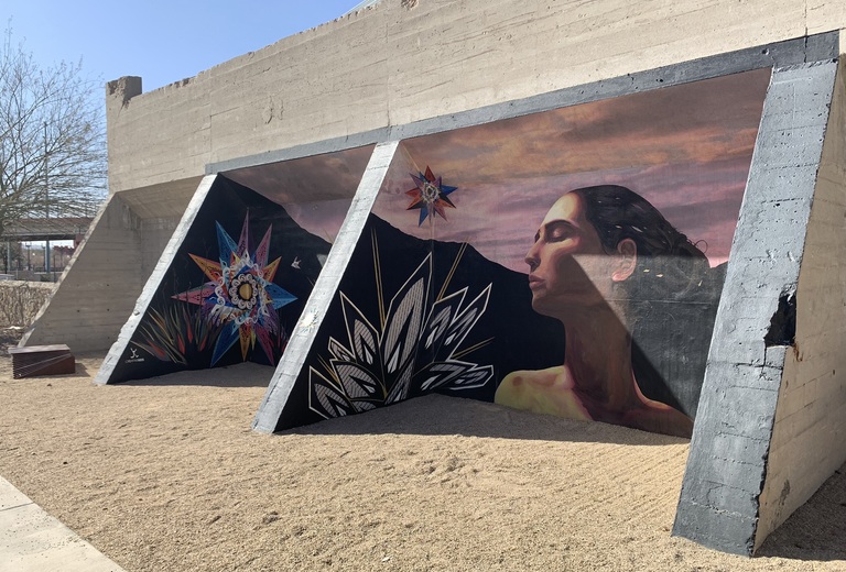 Reflections of the Desert