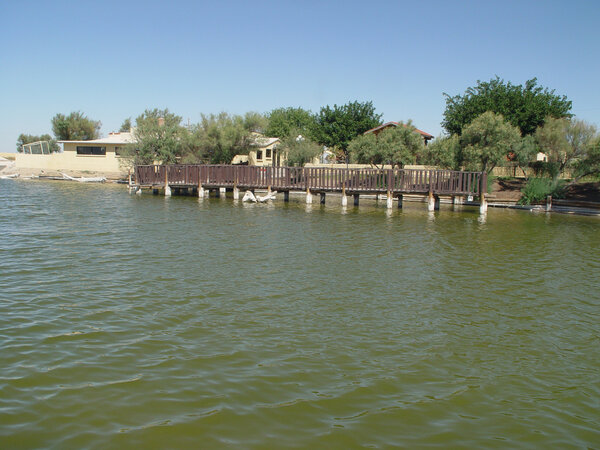 Bodies of Water