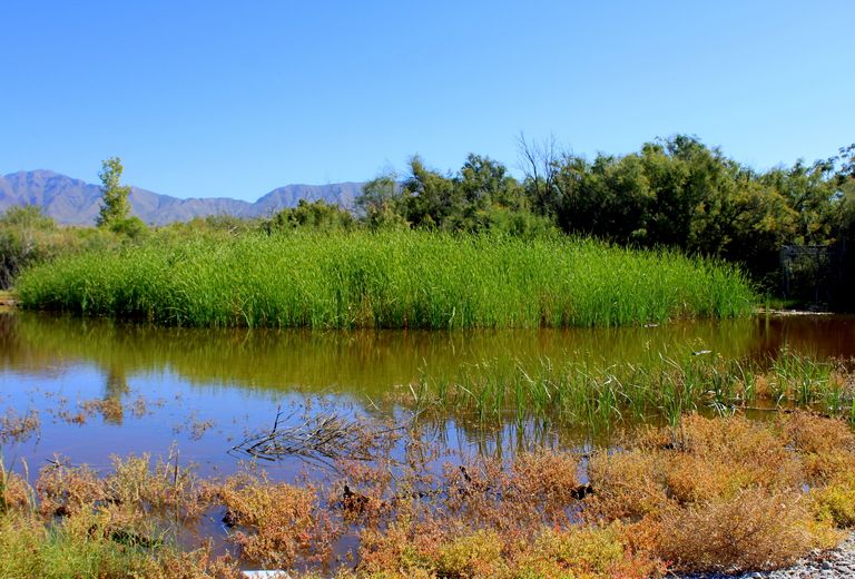 Keystone Heritage & Desert Botanical Park