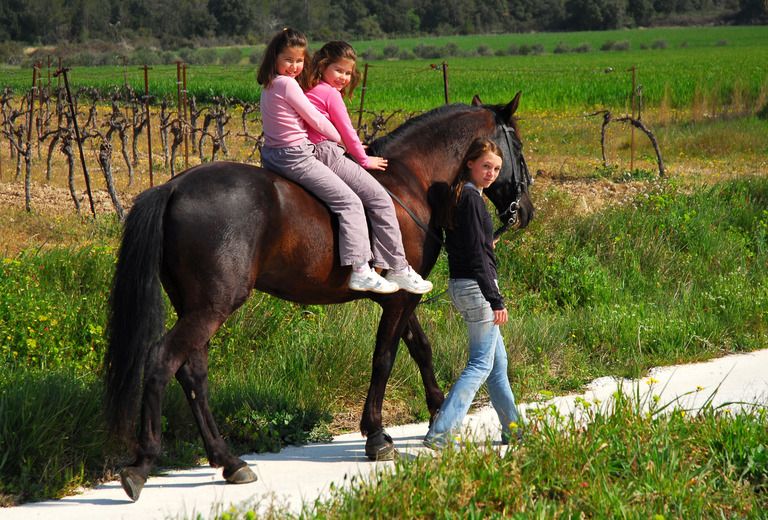 Jackie & John Middagh Horseback Riding
