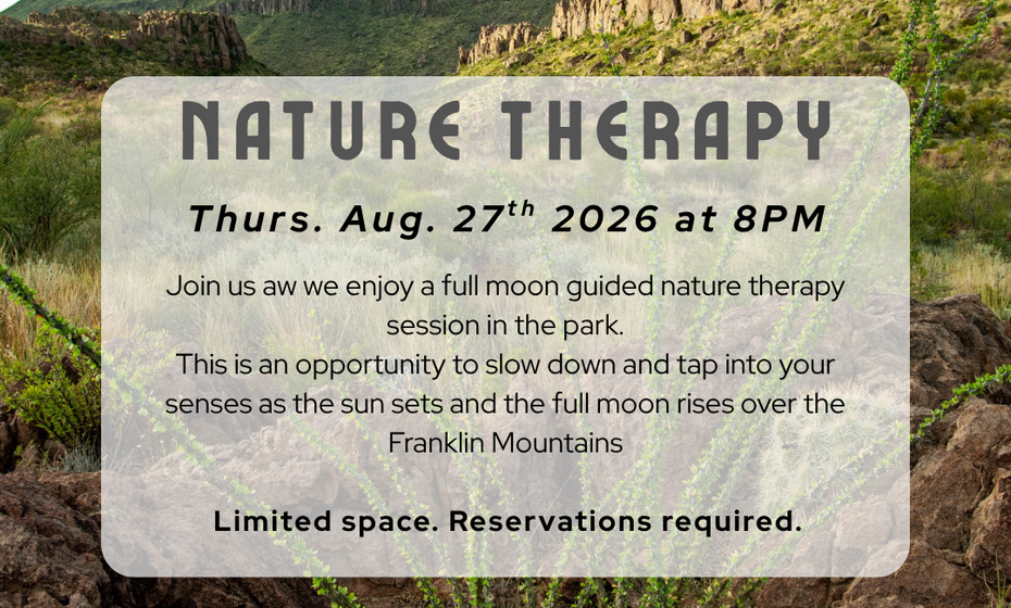 Nature Therapy Walk