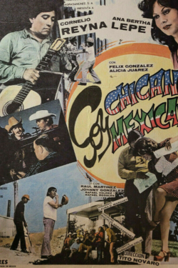 Soy Chicano y Mexicano