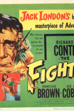 The Fighter